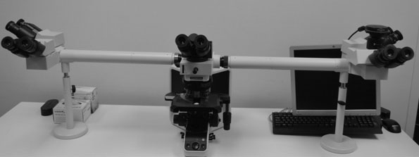 Olympus BX53-5 Head Microscope