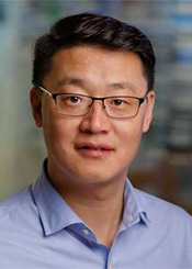 Weiguo Cui, PhD