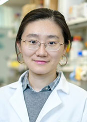 Zibo Zhao, PhD