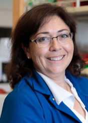 Luisa Iruela-Arispe, PhD