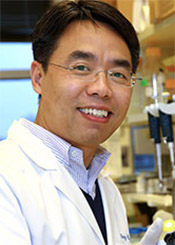 Yongchao Ma, PhD