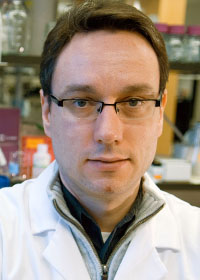 Alexander Stegh, PhD