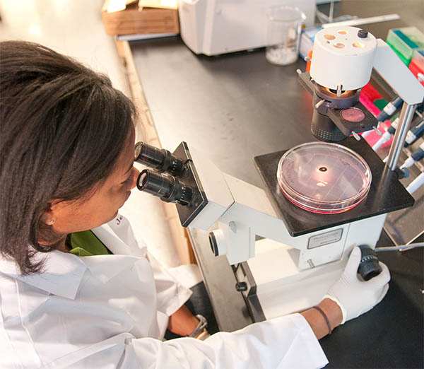 Scientist using microscope